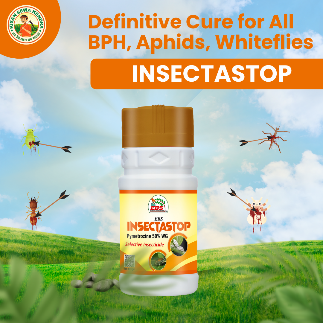 EBS Insectastop Pymetrozine 50% Wg