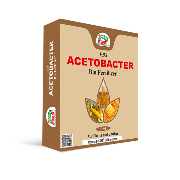 EBS Acetobacter Nitrogen Fixing Bio Fertilizer Powder
