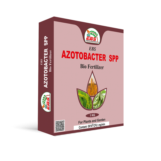 AZOTOBACTERSPPbox bio fertilizer 