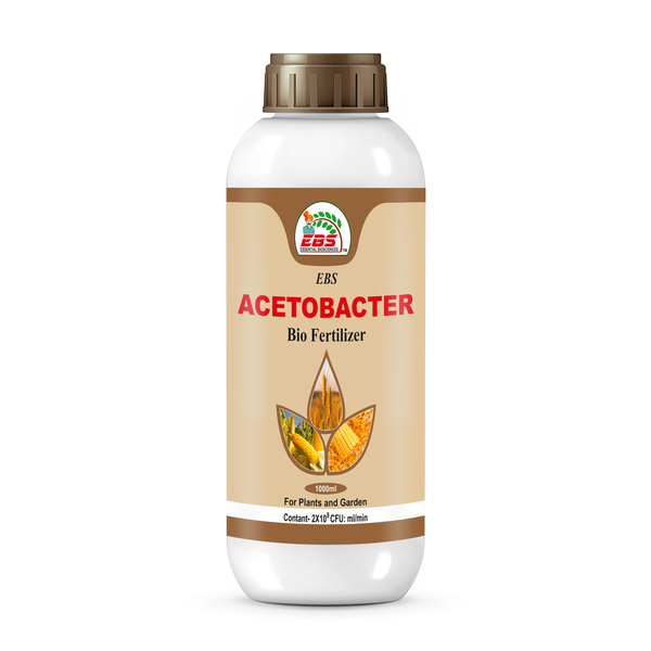 EBS Acetobacter Bio Fertilizer For Plants & Garden
