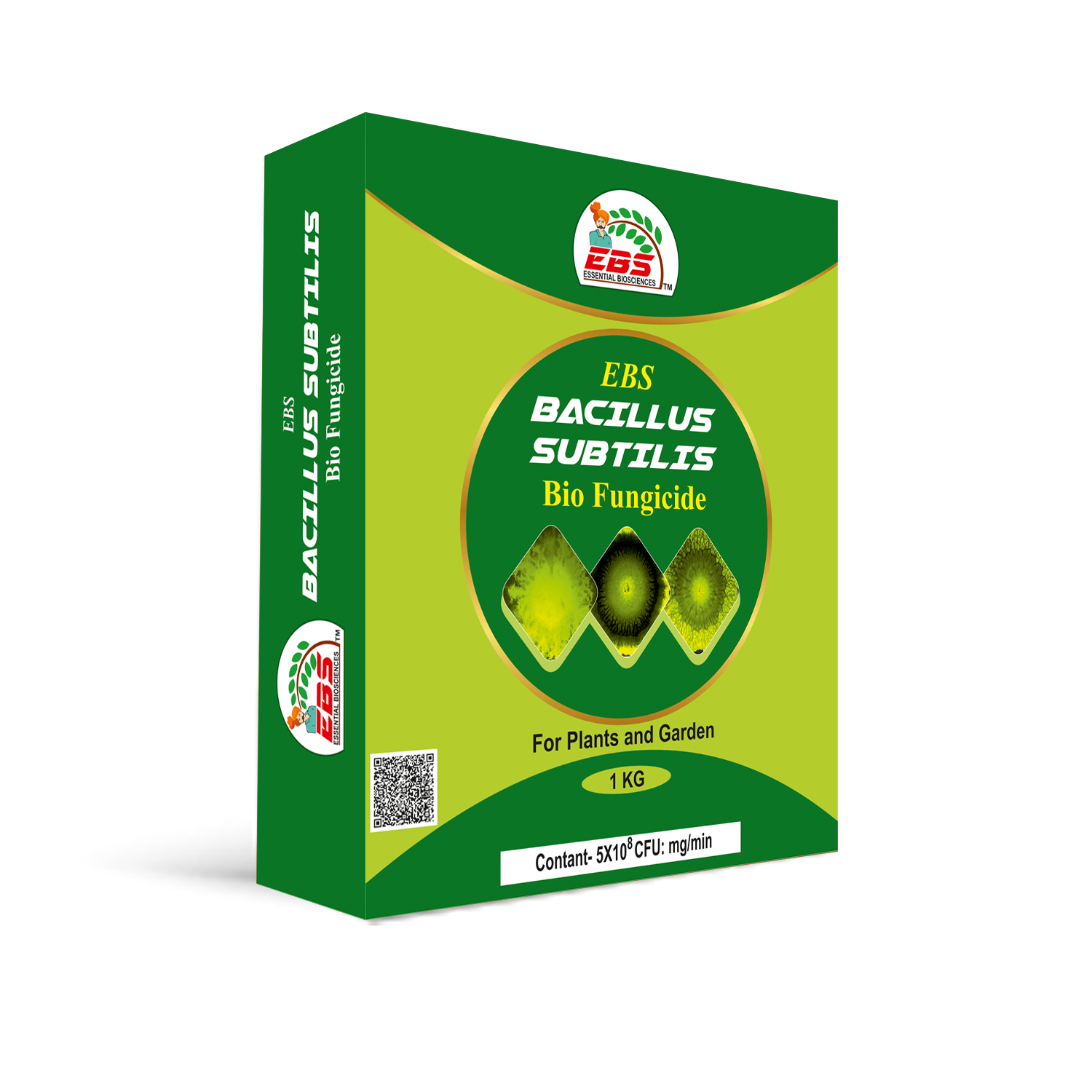 BACILLUS bio fungicide  