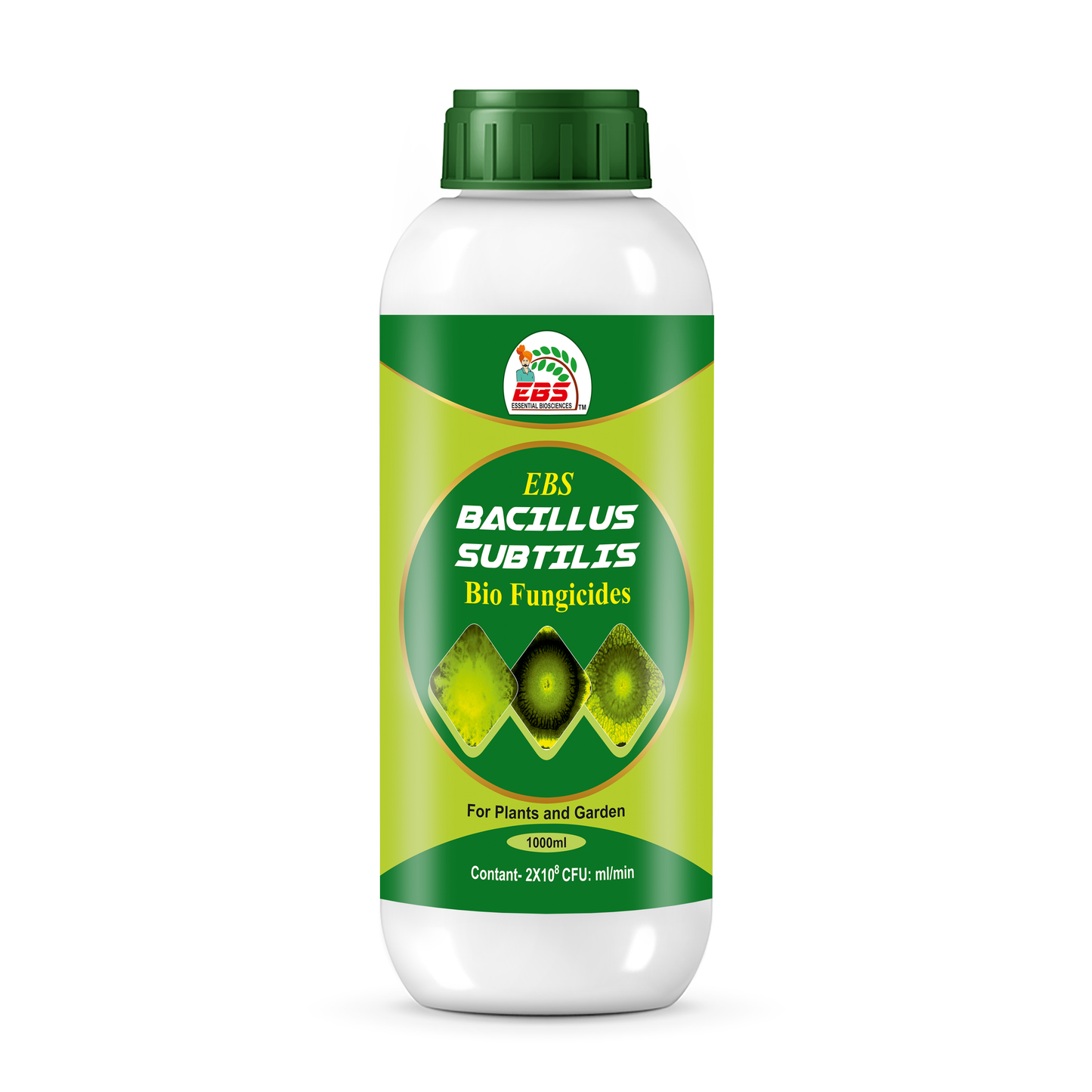 BACILLUSsubtilis bio fungicide 