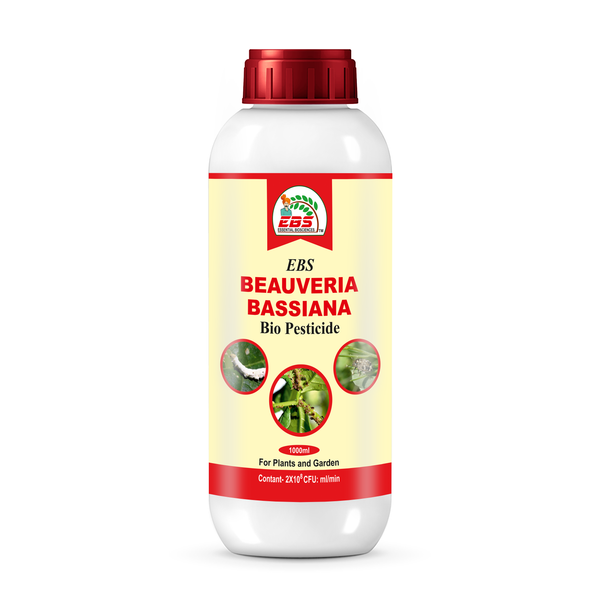 EBS Beauveria Bassiana Bio Pesticide
