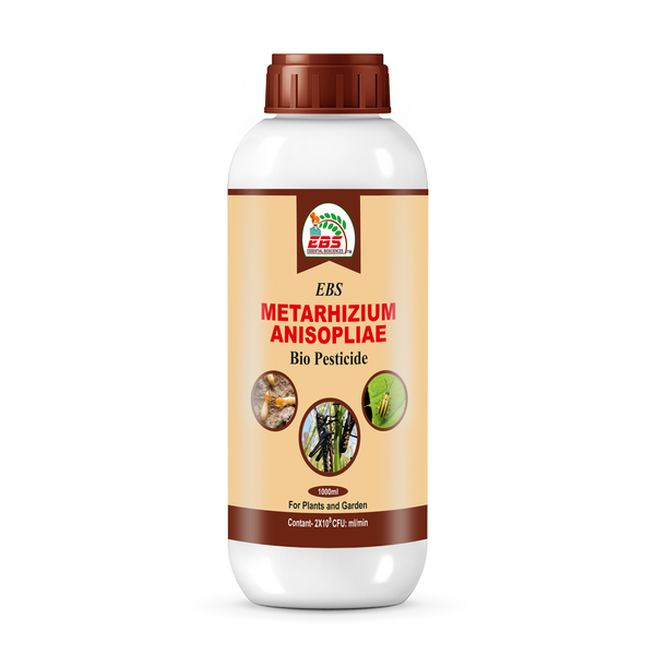 EBS Metarhizium Anisopliae Bio Pesticide