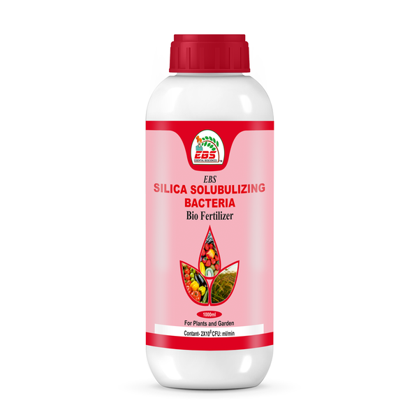 EBS Silica Solubulizing Bacteria Bio Fertilizer