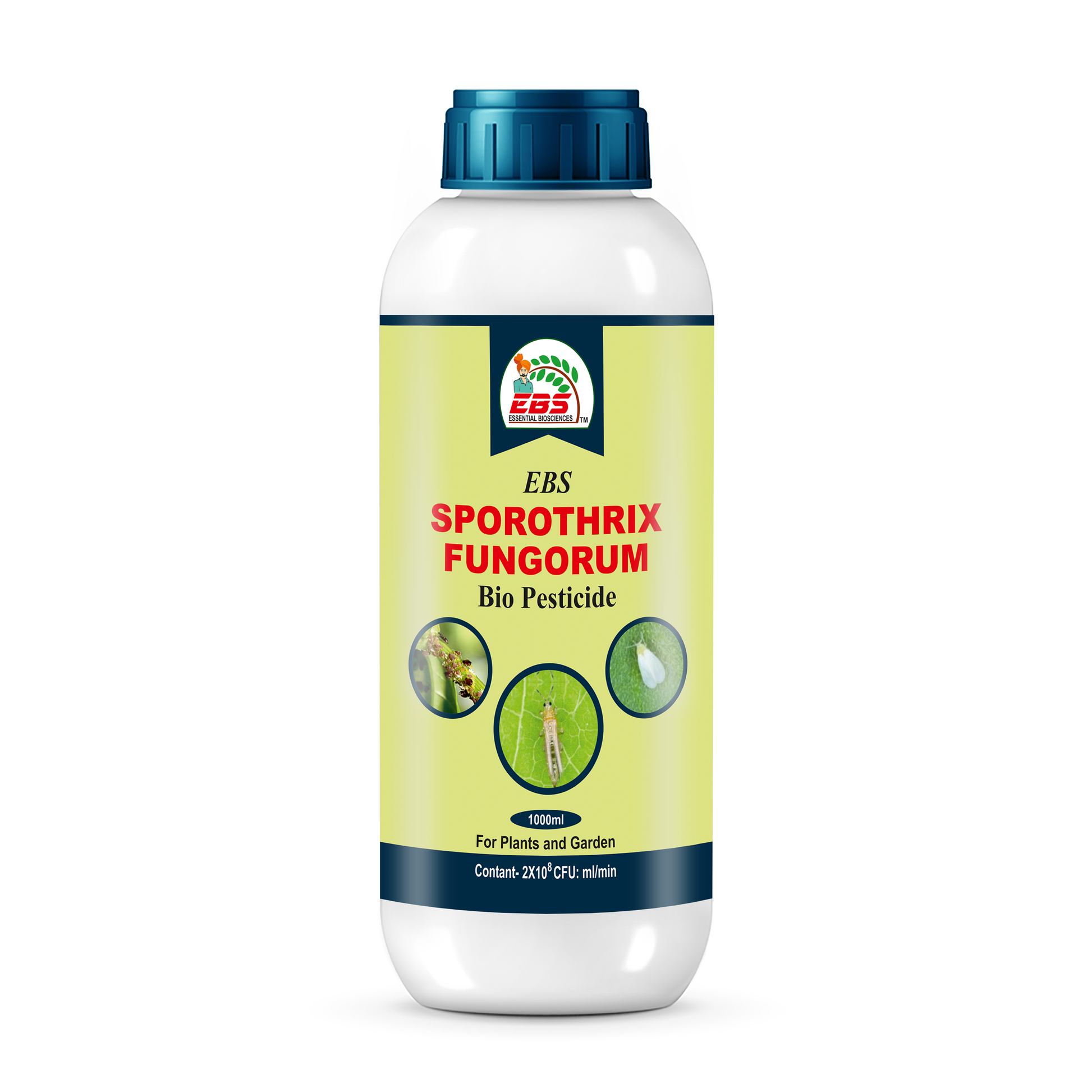 SPOROTHRIX FUNGORUM BIO PESTICIDE