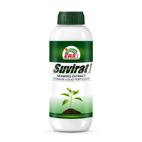 EBS Premium Seaweed Extract liquid-Organic Fertilizer
