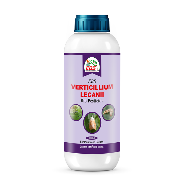 EBS Verticillium lecanii Bio pesticide
