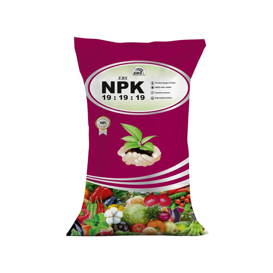 EBS NPK 19:19:19 Water Soluble Fertilizer For Fast Your Plant Growth and Flowering