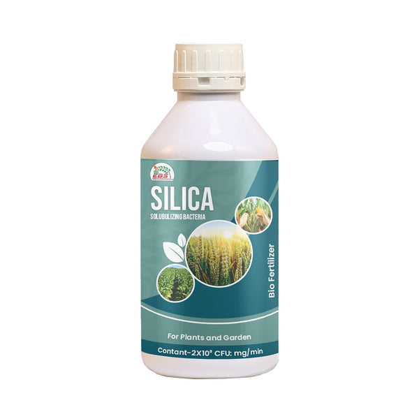 EBS Silica Solubulizing Bacteria Bio Fertilizer